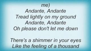 Abba  Andante Andante Lyrics [upl. by Annaoy]