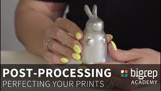 PostProcessing Perfecting your Parts After Printing  BigRep Academy [upl. by Pail]