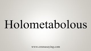 How To Say Holometabolous [upl. by Eenar]