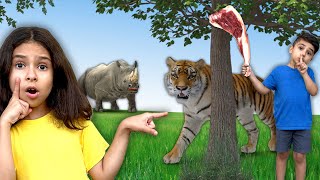 Educational Animal Video for Kids Herbivore carnivore and omnivore animals by Atrin and Soren [upl. by Sothena]