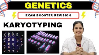 GENETICS  Karyotyping  Basics Procedure amp Application  MedSeed MBBS [upl. by Thgiwed]