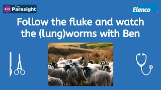 Follow the fluke and watch the lungworms with Ben – January 2024 [upl. by Aletha]