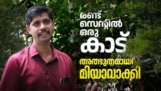 2 സെന്റില്‍ 2 കൊല്ലം കൊണ്ടൊരു വനം മിയാവാക്കി എന്ന അത്ഭുതം Miyawaki Forest  mathrubhumicom [upl. by Tiga]