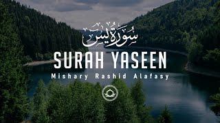 Surah Yaseen Yasin  Mishary Rashid Alafasy English Translation HD  سورة يس  مشاري راشد [upl. by Nohsad]