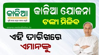 Kalia Yojana Big Update 9th March  Kalia Yojana Money Transfer 2024  Odisha Yojana [upl. by Atsahc]