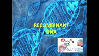 BIO 220 Chapter 8  Microbial Genetics for Recombinant DNA [upl. by Aphra]