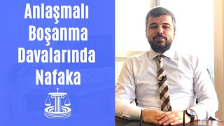 ANLAŞMALI BOŞANMA DAVALARINDA NAFAKA [upl. by Eniaral502]