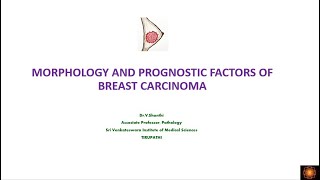 Morphology and prognosis of breast carcinoma [upl. by Juditha690]