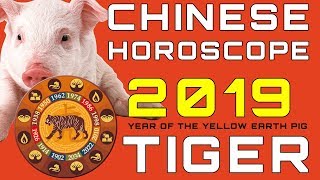 Chinese Horoscope 2019 Tiger [upl. by Ynttirb]