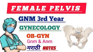 FEMALE PELVIS  GNM 3rd YEAR  GNM NURSING LECTURE IN MARATHI [upl. by Anelah]