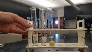 Lab 14 Enzyme activity experiment [upl. by Naihr]