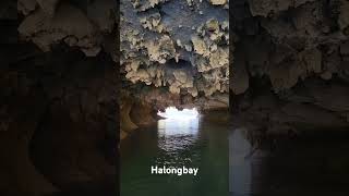 Hanoi HaLong bay Dark and Bright cave Beautiful cave to visit in Vietnam halongbaycruise vietnam [upl. by Adnana631]