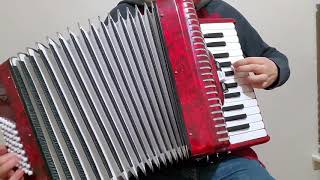 Pizza Time Funiculi Funicila  Accordion cover [upl. by Ettelocin]