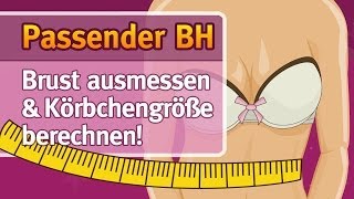 Dein BH Körbchengröße ausmessen amp BH Größe berechnen [upl. by Asquith]