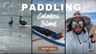 Dunedin Causeway To Caladesi Island An Epic Paddling Adventure [upl. by Fraase]