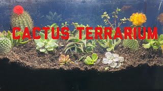 Cactus Terrarium Tank Build [upl. by Idroj]