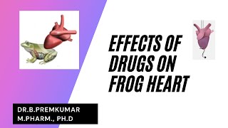 Effect of Drugs on Isolated Frog Heart [upl. by Eet38]