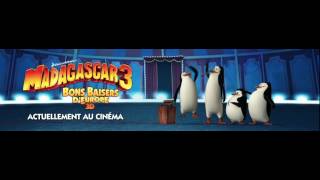 Madagascar 3  intro des pingouins [upl. by Horsey871]