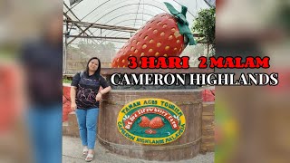 3 Hari 2 Malam di Cameron HighlandsPahangMalaysia Travel vlog part 3 Big Red Strawberry Farm 🍓 [upl. by Alyam]