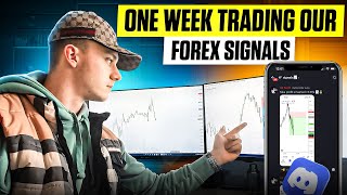 One Week Trading Our FOREX SIGNALS [upl. by Legna]