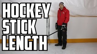 Hockey Stick Length  Short VS Long and Where to cut [upl. by Atneciv846]