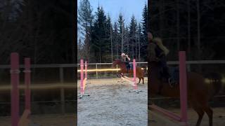 Falling off and landing on her feet😱 shortsvideo horseriding equestrian [upl. by Behlau]