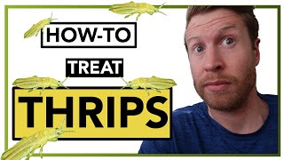 How to Get Rid of Thrips  Houseplant Howto Ep 14 [upl. by Fennelly]