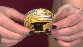 Bronzo Italia Multirow Tubogas Crystal Magnet Clasp Bracelet on QVC [upl. by Lleuqram]