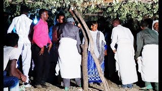 Best Traditional Ethiopian Tigrigna Music 2018  Axum [upl. by Naujed]