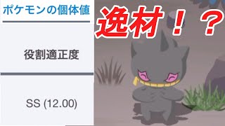 全然期待してなかったのにまさかの！？【ポケモンスリープ】 [upl. by Zannini]