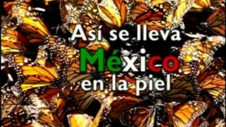 Asi se siente Mexico [upl. by Ayna]