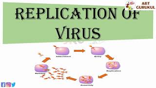 Replication of virus  Virus Replication Animation  Viral replication process [upl. by Odraner]