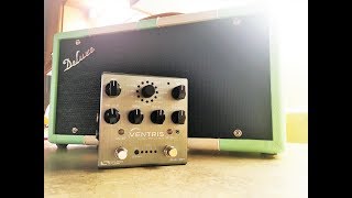 Source Audio Ventris  Outboard Spring Engine  Demo amp Review [upl. by Iphlgenia]