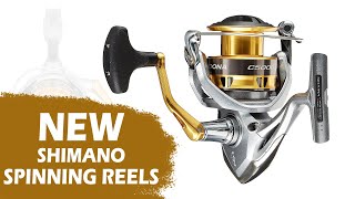 Best Spinning Reel for 100 in 2024  Nasci VS Exceler LT VS Fierce IV [upl. by Ariajaj]