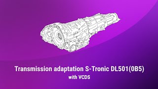 Transmission adaptation STronic DL501 with VCDS [upl. by Pauwles]