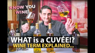 What is a Cuvée Wine Term Explained  Lets NOT STOP Sharing about VINO [upl. by Kcirrem]