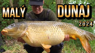 Výprava na Malý Dunaj 🐋🤓 lov rýb na boilies a kukuricu🌽 amura a kapra na rieke [upl. by Buckie]