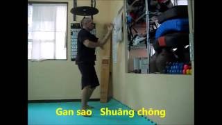 Wall bag wing chun combinations [upl. by Iorgo]