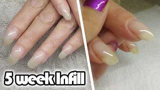 5 week Acrylic Infill  Natural Acrylic Overlay [upl. by Thagard]