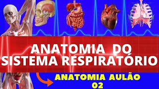 ANATOMIA COMPLETA DO SISTEMA RESPIRATÓRIO ANATOMIA HUMANA  SISTEMA RESPIRATÓRIO ANATOMIA [upl. by Sexela291]