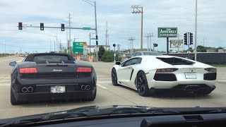 Lamborghini Aventador vs Lamborghini Gallardo Race [upl. by Ecirahs911]