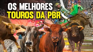 Os melhores TOUROS da PBR nessa temporada TOP BULLS [upl. by Morna]