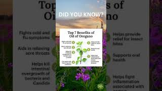 Health Benefits of Oregano Oil [upl. by Bale]