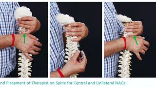 Natural Apophyseal Glides NAGs  Therapy  Treatment for cervical Spine  neck pain and stiffness [upl. by Asilat]