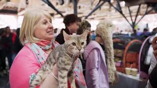 Cat Extravaganza at Tobacco Dock UK I LCWW Group Live International Show [upl. by Altman84]