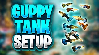 29 Gallon Planted Guppy Tank Setup And Progress Walstad Method Friendly [upl. by Tavy]