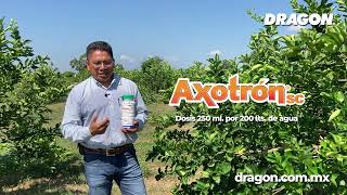 Axotrón SC  Antracnosis en Cultivo de Limón  DRAGON [upl. by Cofsky]