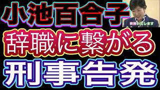 小池都知事辞職に繋がる可能性！小池都知事が抱える３件の刑事告発の行方とは！？現状を徹底解説！ [upl. by Thanh]