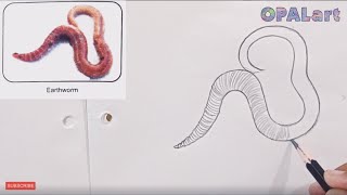 9th PB Biology Diagram 17Earthworm [upl. by Aniara]