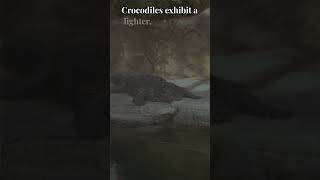 Difference between crocodiles vs alligators [upl. by Older918]